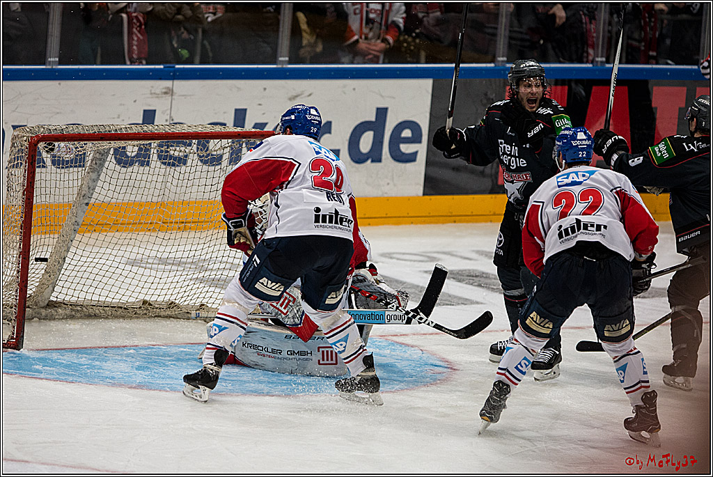 DEL, Koelner Haie - Adler Mannheim, 05.02.2017